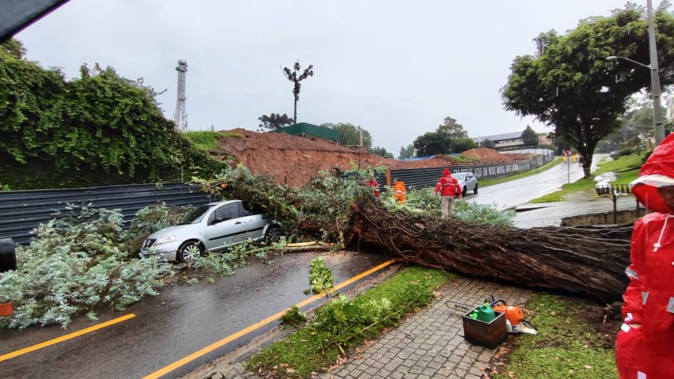 árvore cai bigorrilho curitiba