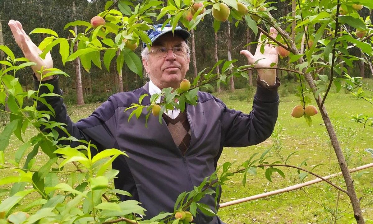 morre-padre-gabriel-figura-curitiba