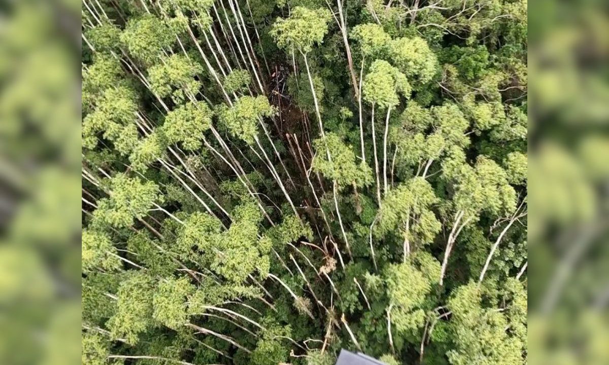 Imagem divulgada pela Polícia Militar mostra destroços do helicóptero - Foto: Divulgação/PM/SP