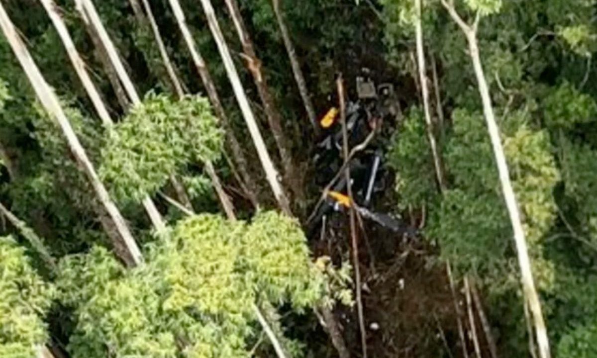 Estavam a bordo o piloto Cassiano Teodoro, de 44 anos, além dos três passageiros: Raphael Torres, 41; Luciana Rodzewics, 45, e Letícia Ayumi, 20 - Foto: Reprodução/PM-SP