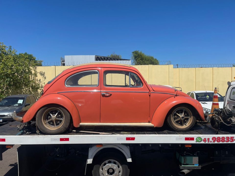 fusca
