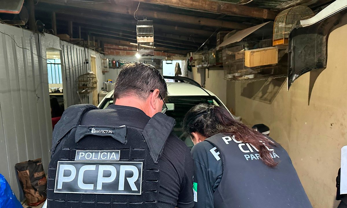 operacao-trafico-animais-silvestres-delivery-1
