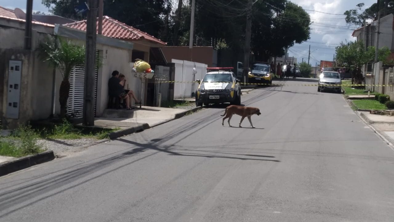 filho mata mãe colombo