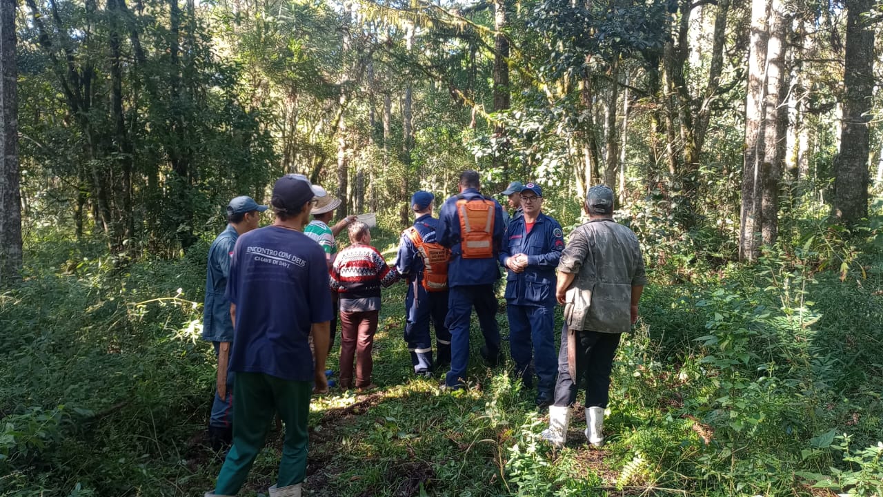 Idosa de 69 anos desaparece ao sair para colher pinhão e é encontrada 12h depois em mata de SC