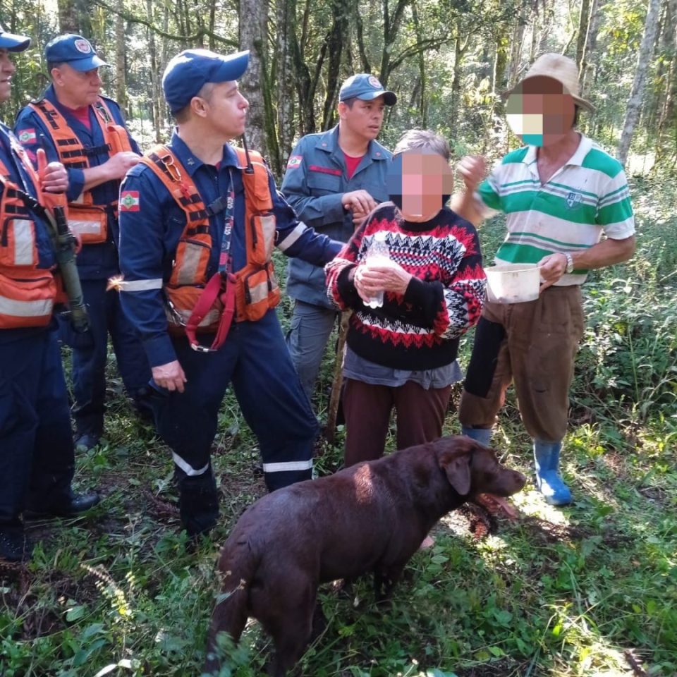 Idosa de 69 anos desaparece ao sair para colher pinhão e é encontrada 12h depois em mata de SC