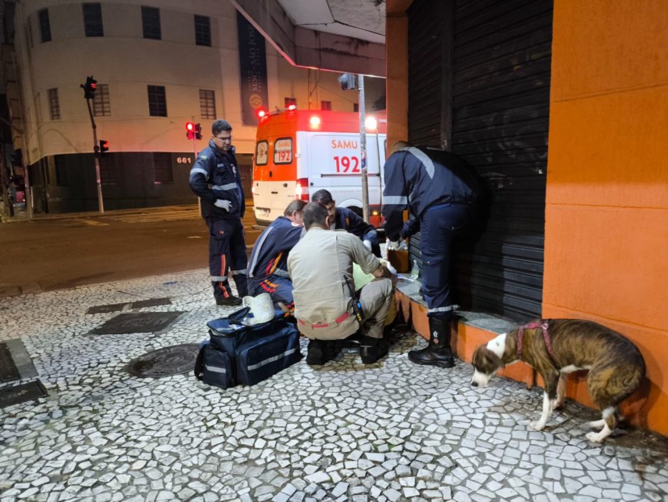 cachorro nao abandona dono