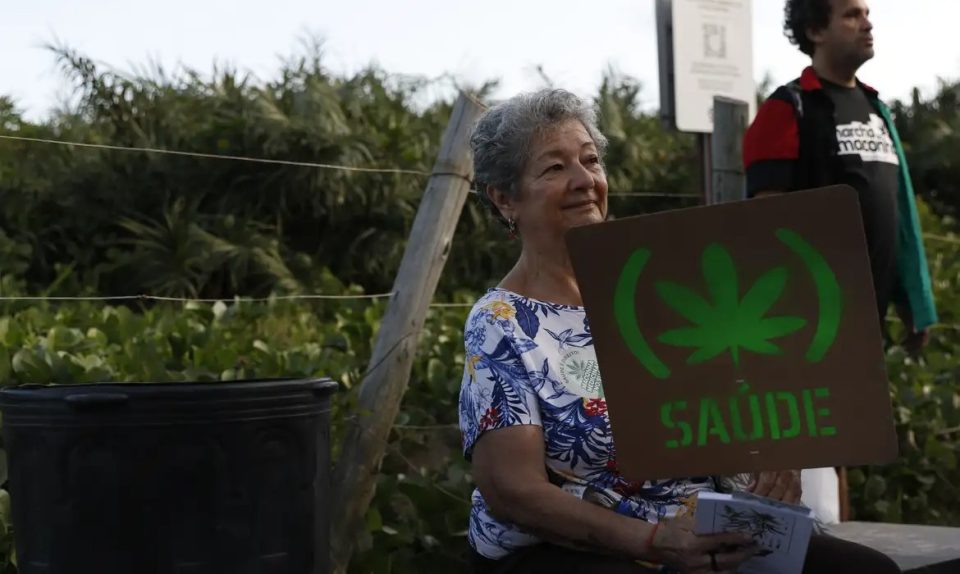 cannabis-maconha-2