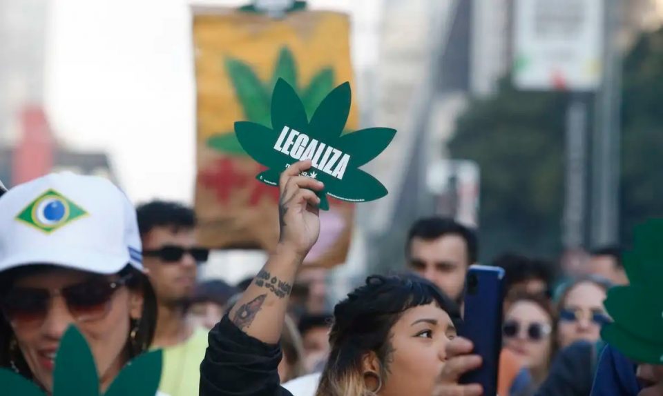 cannabis-maconha