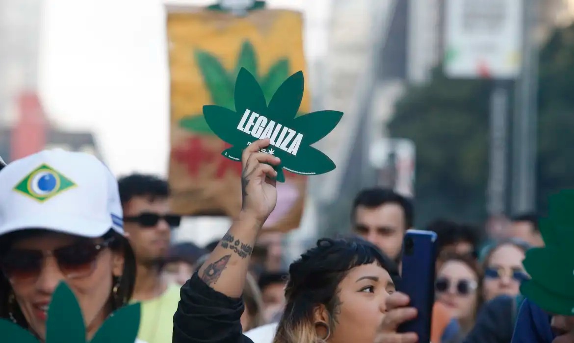 cannabis-maconha