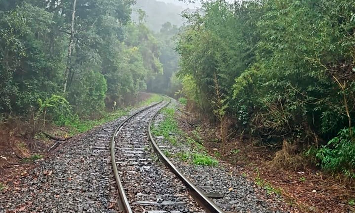 homem-encontrado-morto-trilho-trem-tamandare-1