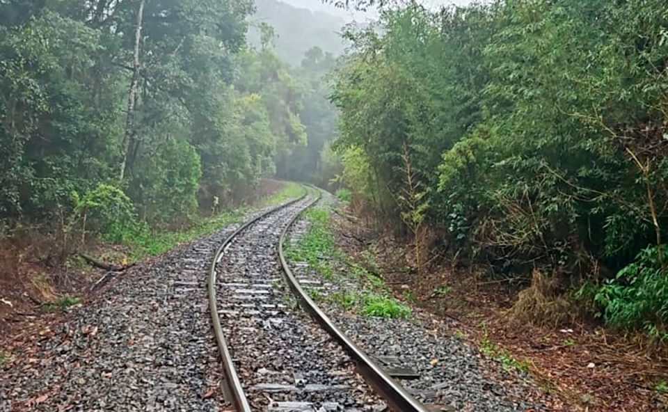 homem-encontrado-morto-trilho-trem-tamandare-1