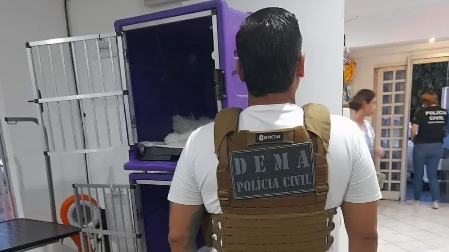 policia-investiga-se-proprietari