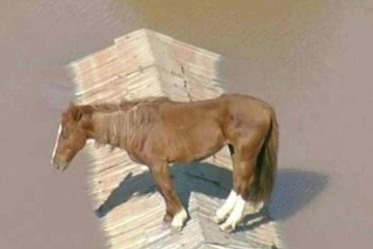 1715279217663d1571d3958_1715279217_3x2_md