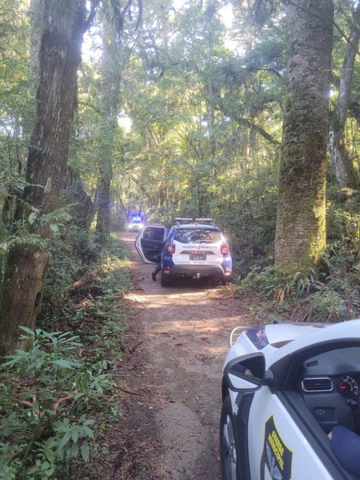 Maníaco do Parque Barigui: homem é surpreendido por suspeito armado com facão durante colheita de pinhão em trilha