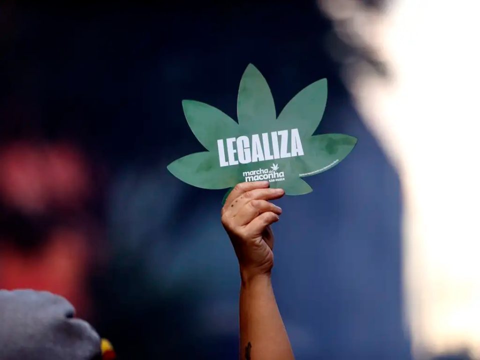 maconha