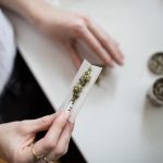 maconha
