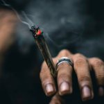 maconha