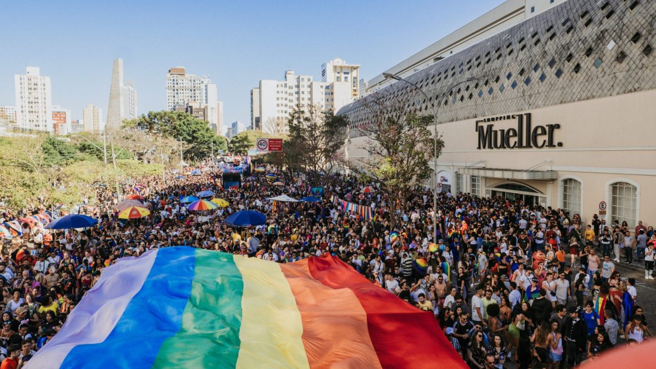 marcha diversidade (2)