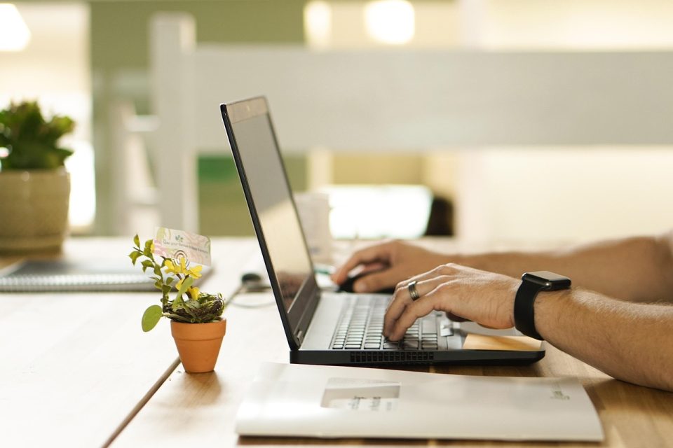 online curso