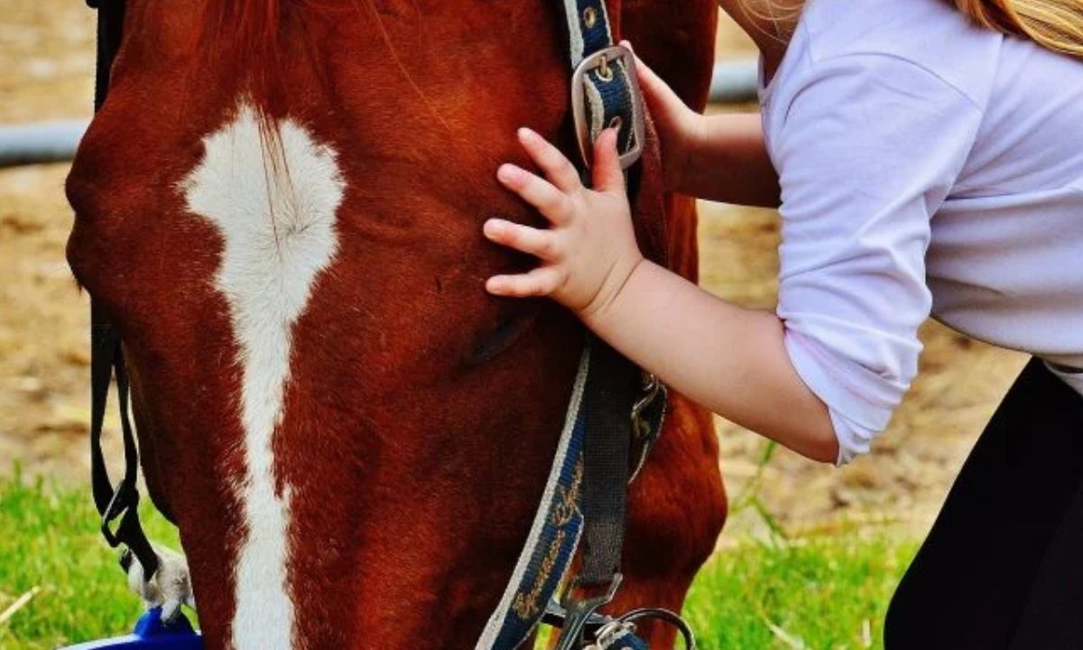 equoterapia