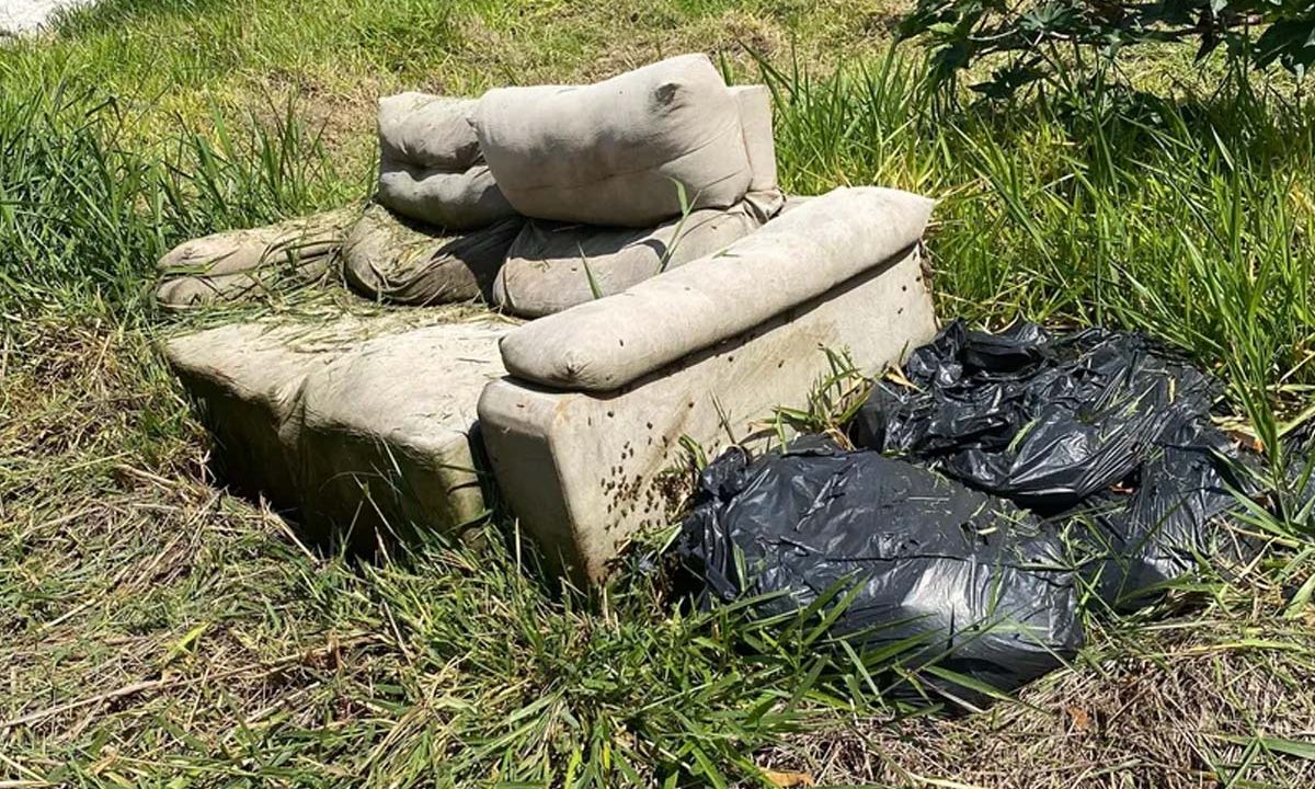 abelhas-sofa-atacam-fazendeiro-parana