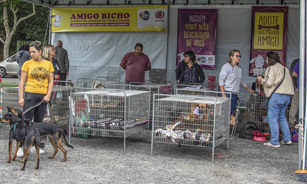 feira-de-adoção-barigui