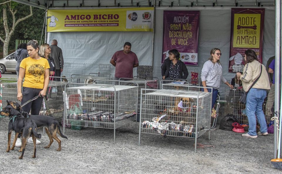 feira-de-adoção-barigui