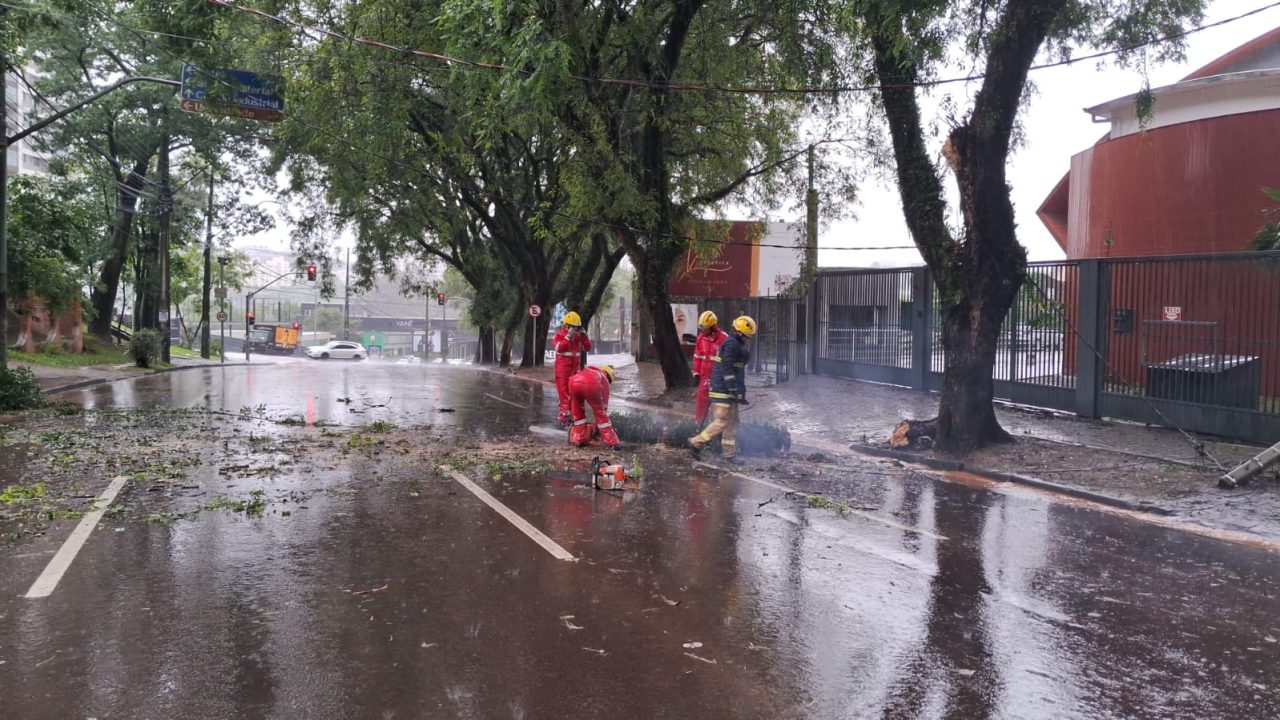 chuva-queda-arvore-carro-transito-curitiba