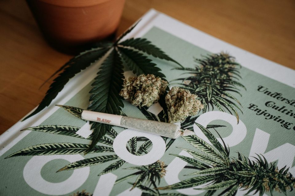 Uso de maconha em casa aumenta intoxicação de crianças expostas, mostra estudo