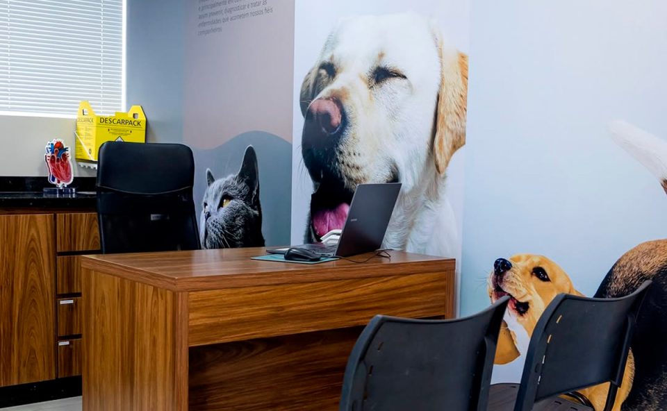 LeVet-Hospital-Veterinario-curitiba-1