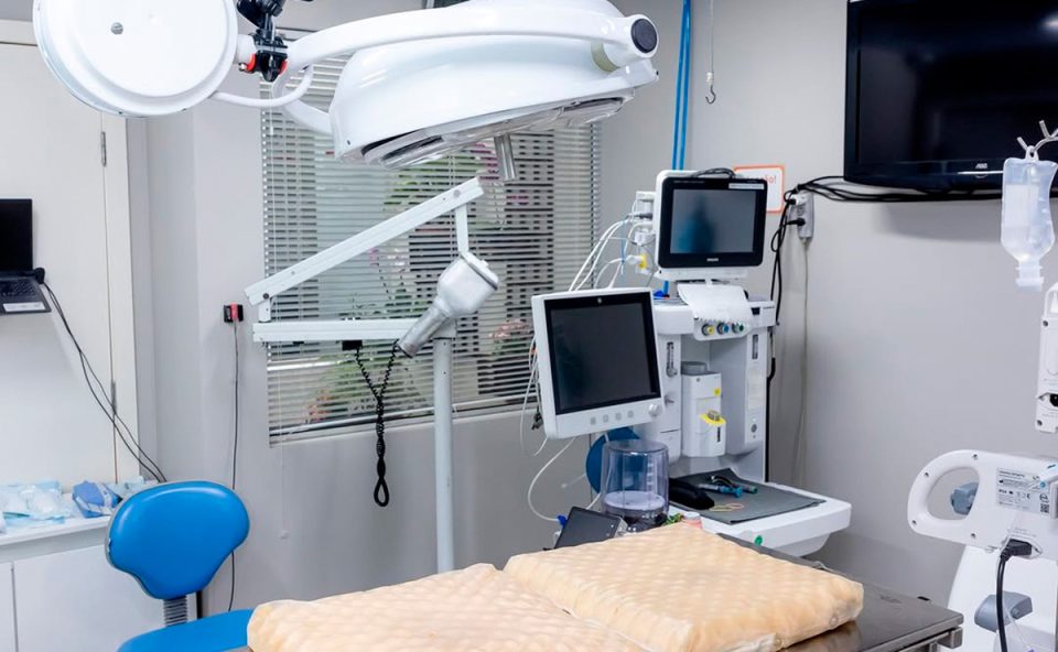 LeVet-Hospital-Veterinario-curitiba-4