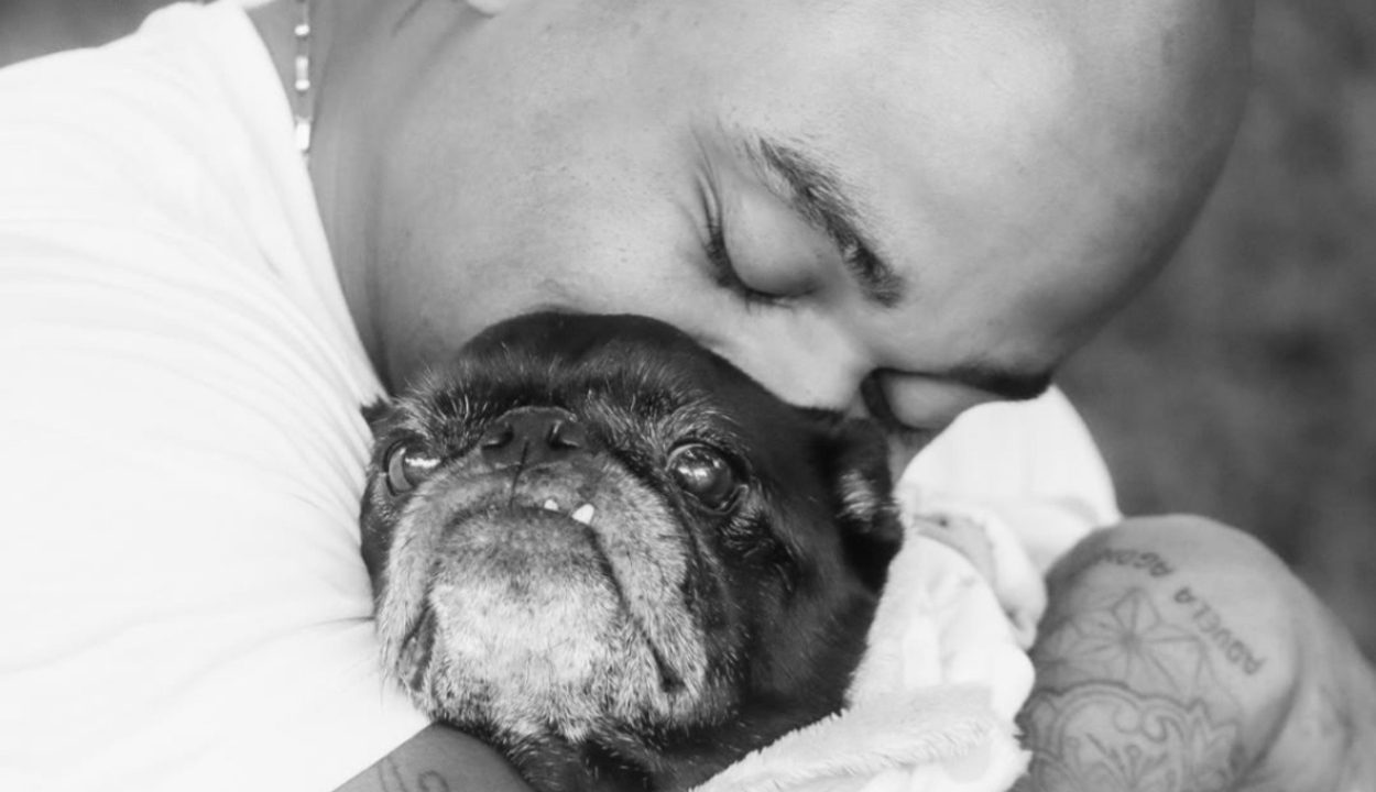 cezar-black-morte-cachorro