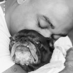 cezar-black-morte-cachorro