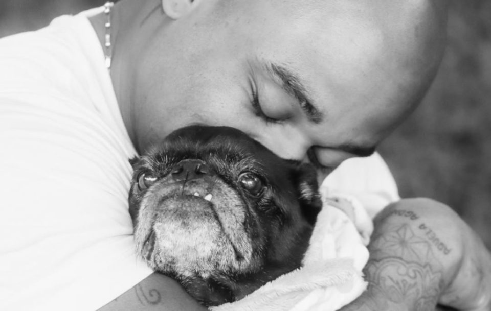 cezar-black-morte-cachorro