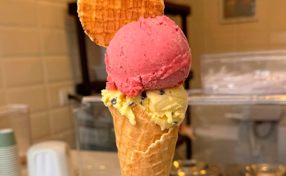 frederica-gelato-curitiba-inauguracao-3