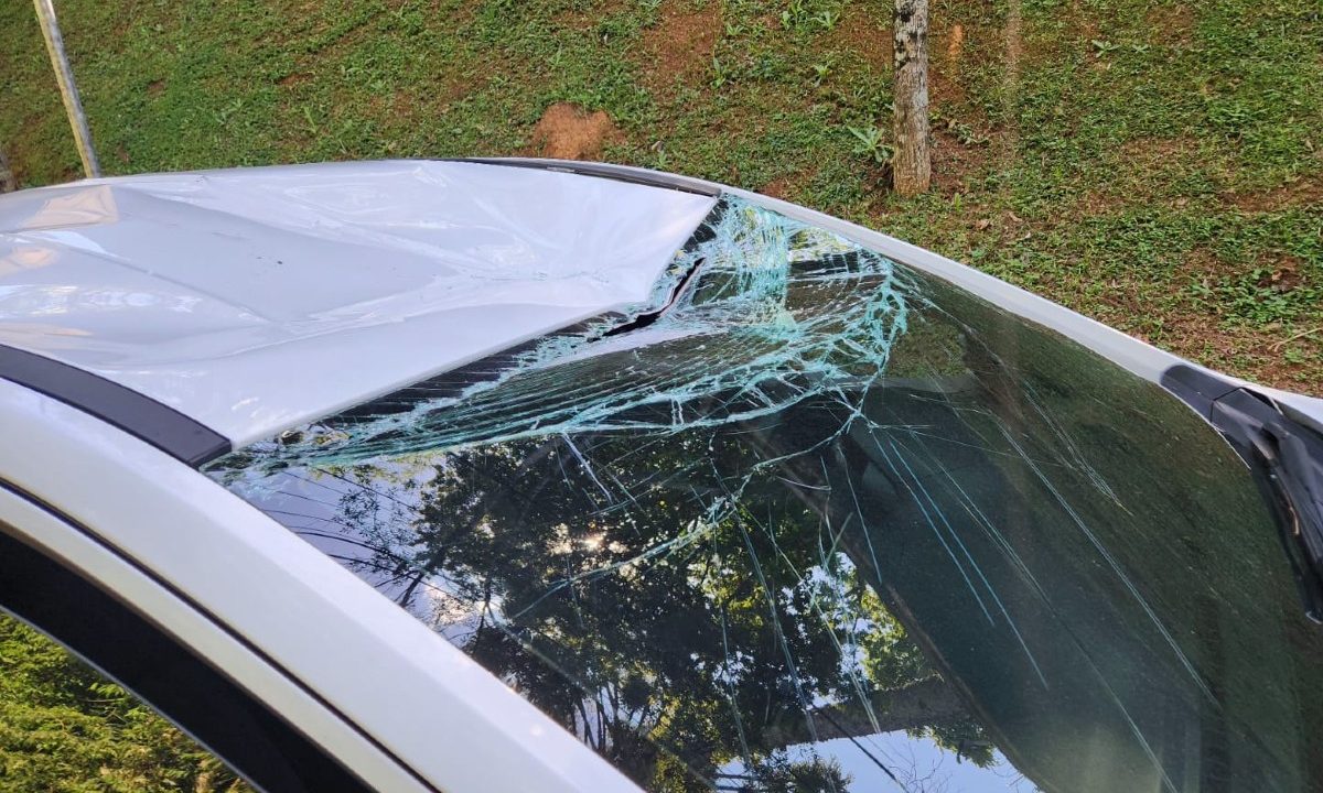 mulher-socorrida-ao-ter-carro-que-dirigia-atingido-galho-pinheiro-parque-tingui