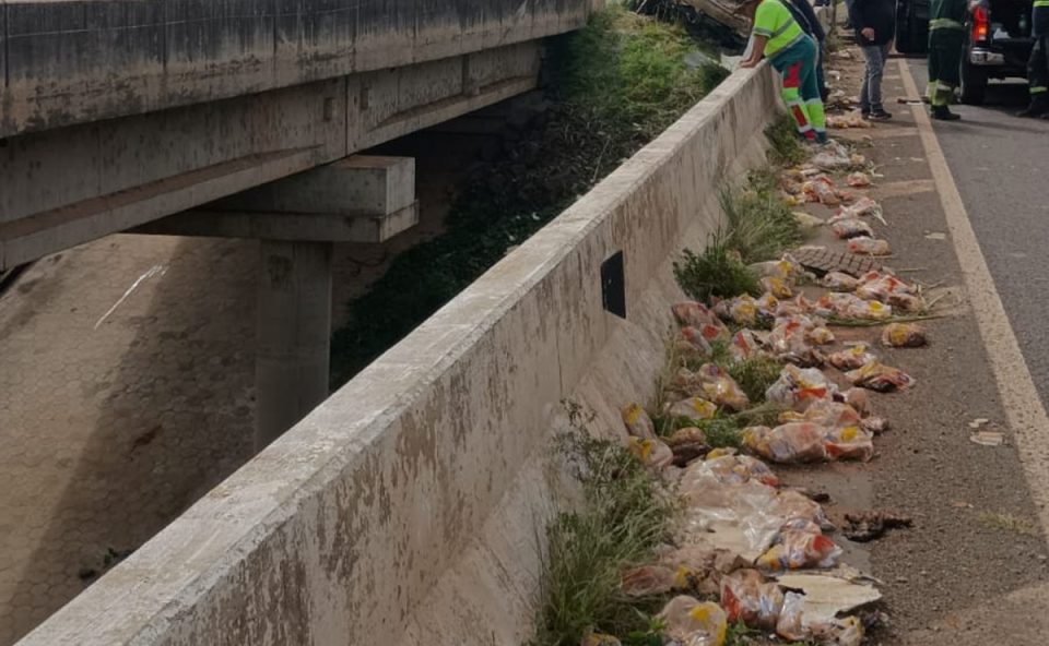 caminhao-frigorifico-lotado-frango-congelado-cai-ribanceira-e-motorista-morre-br-376-1