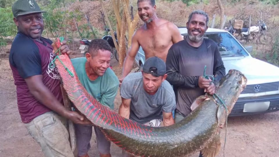 peixe-80kg
