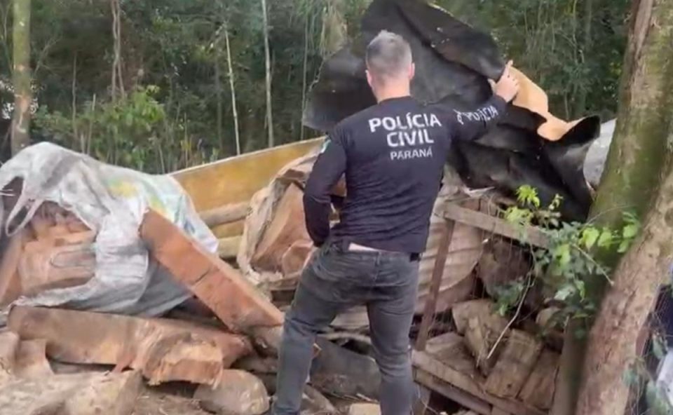 operacao-policial-prende-tres-homens-flagrante-desmatamento-ilegal-regiao-pedreira-paulo-leminski-2