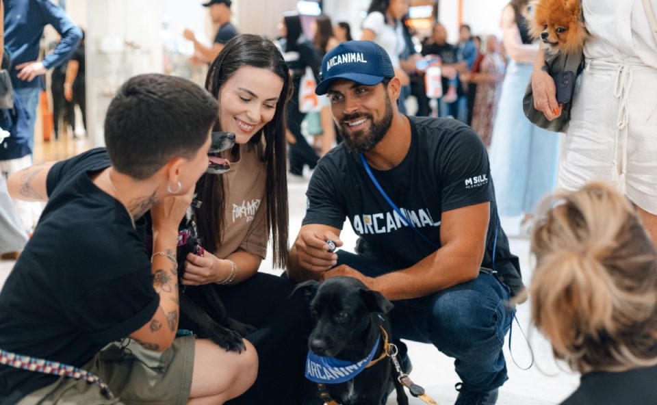 evento-shopping-adocao-animais