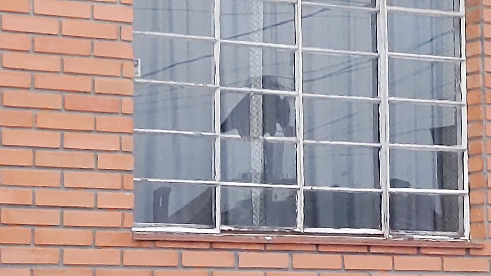 guabirotuba5