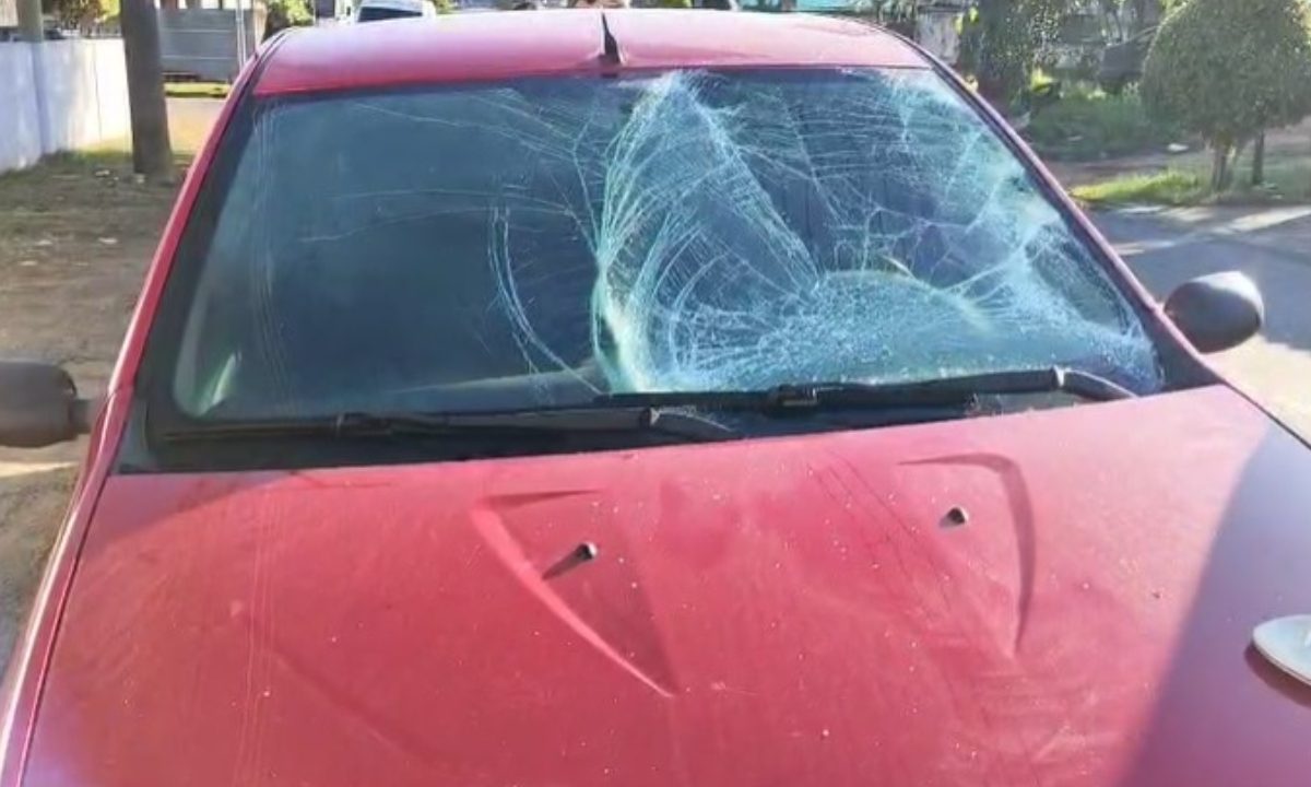homem atropelado no novo mundo