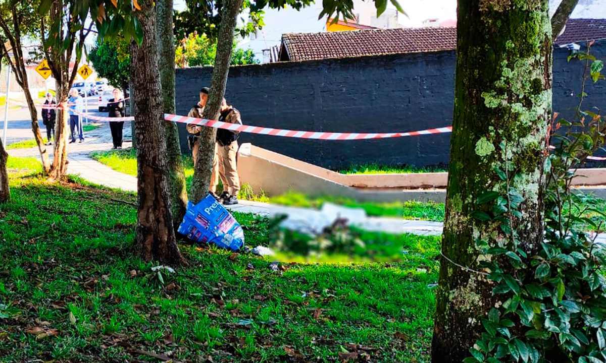 homem-maumau-cai-arvore-abacates-cic-morre-1