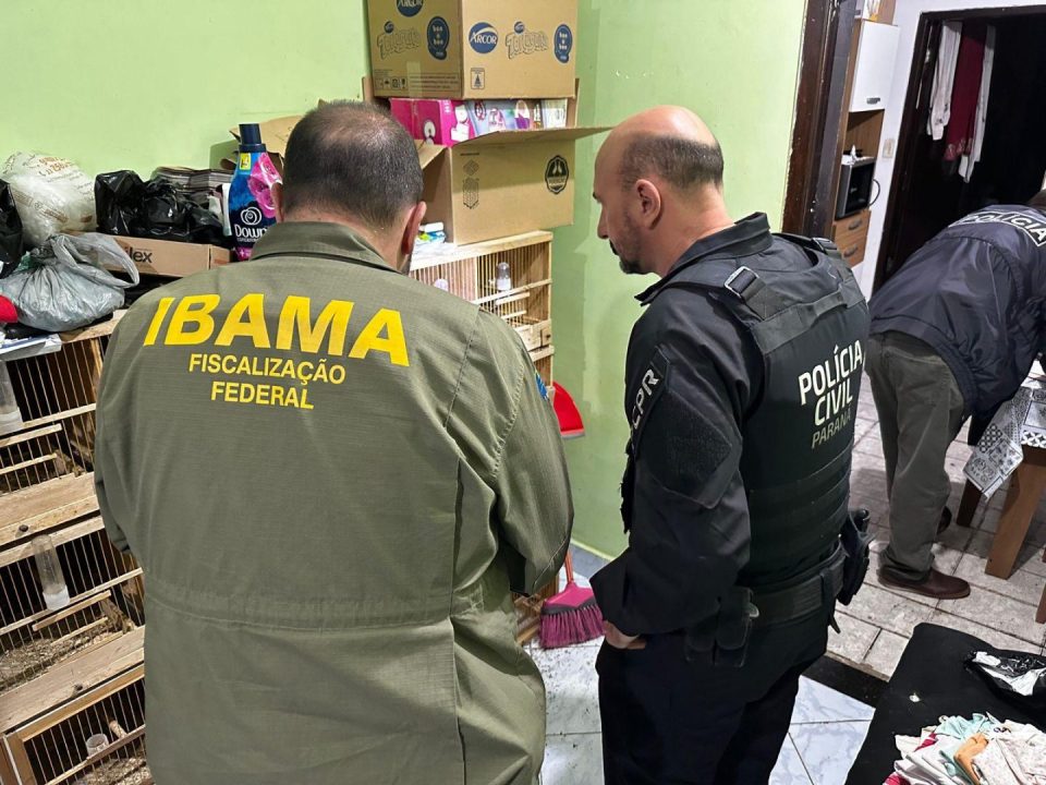 operação-trafico-internacional-de-animais-3