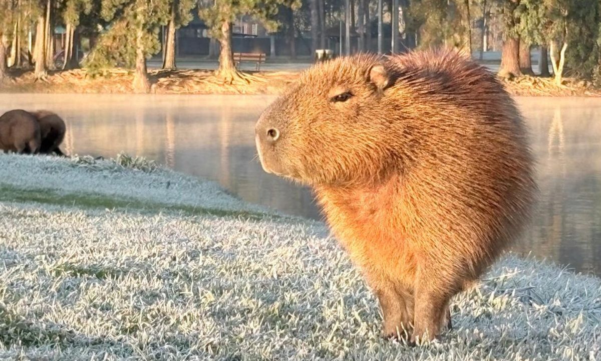 curitiba-temperatura-maxima-mais-baixa