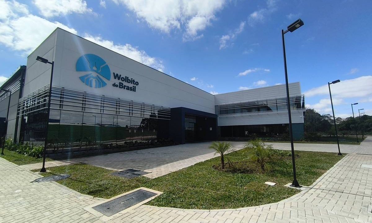 fabrica-desenvolve-mosquitos-combate-dengue-curitiba