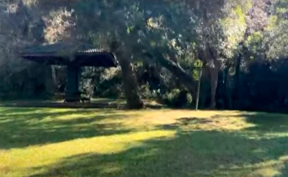 idoso-perdido-alzheimer-parque-barigui-1