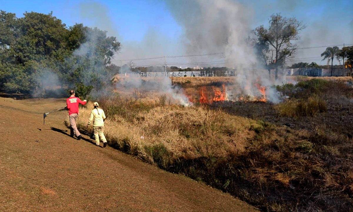 incendio-ambiental-avenida-das-torres-alerta-bombeiros-5