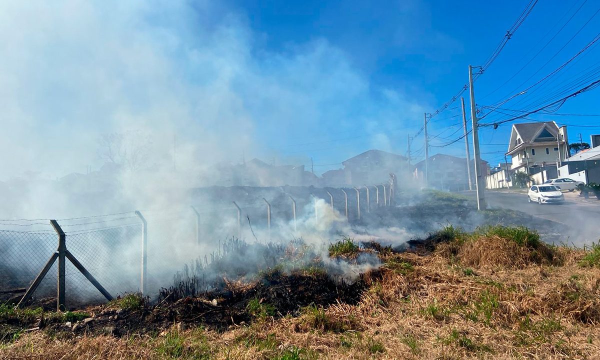 incendio-ambiental-bairro-alto-linha-verde-3