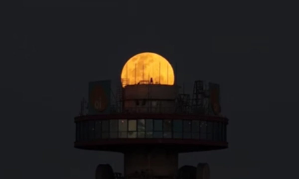 lua-do-veado